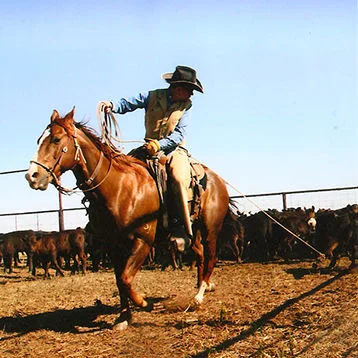 Craig Lewis Saddle Shop