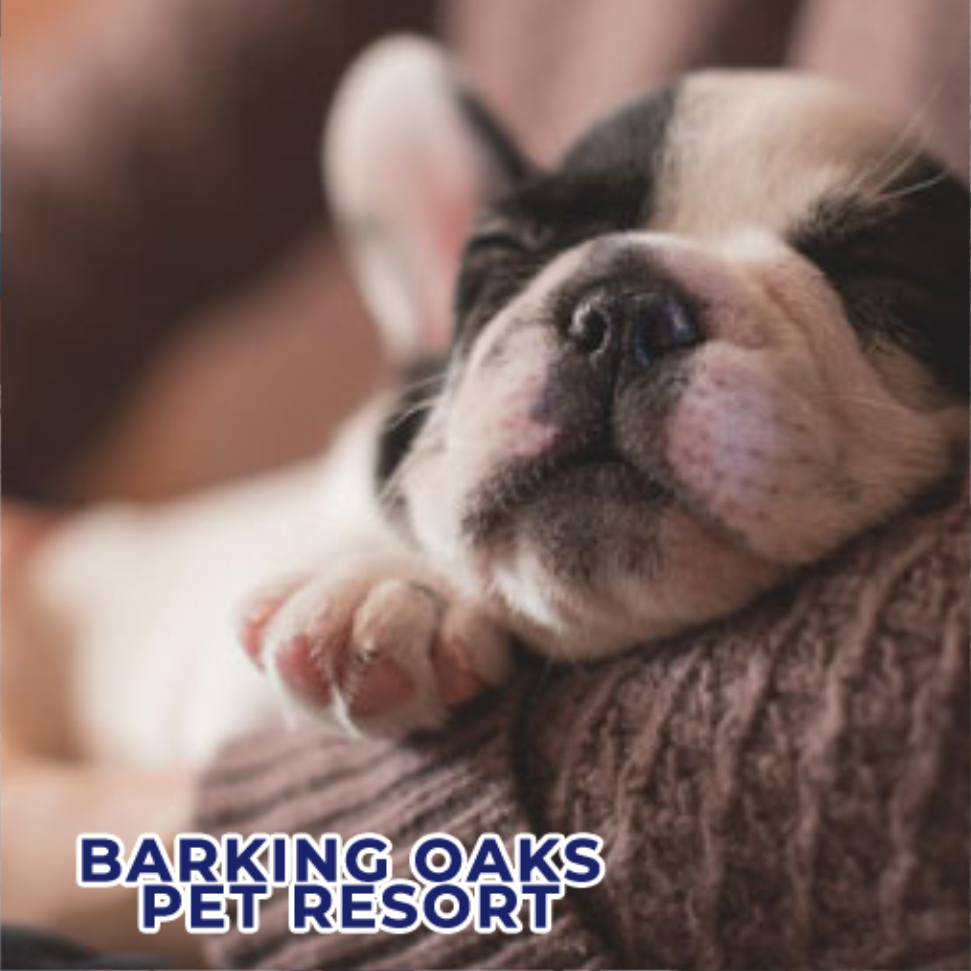 Barking Oaks Pet Resort